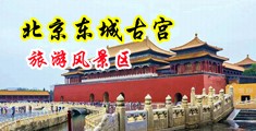 男人的鸡鸡插进去女人的BB视频中国北京-东城古宫旅游风景区